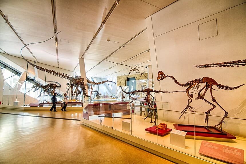 토론토 캐나다 관광지 추천 및 알고가기 로열 온타리오 박물관