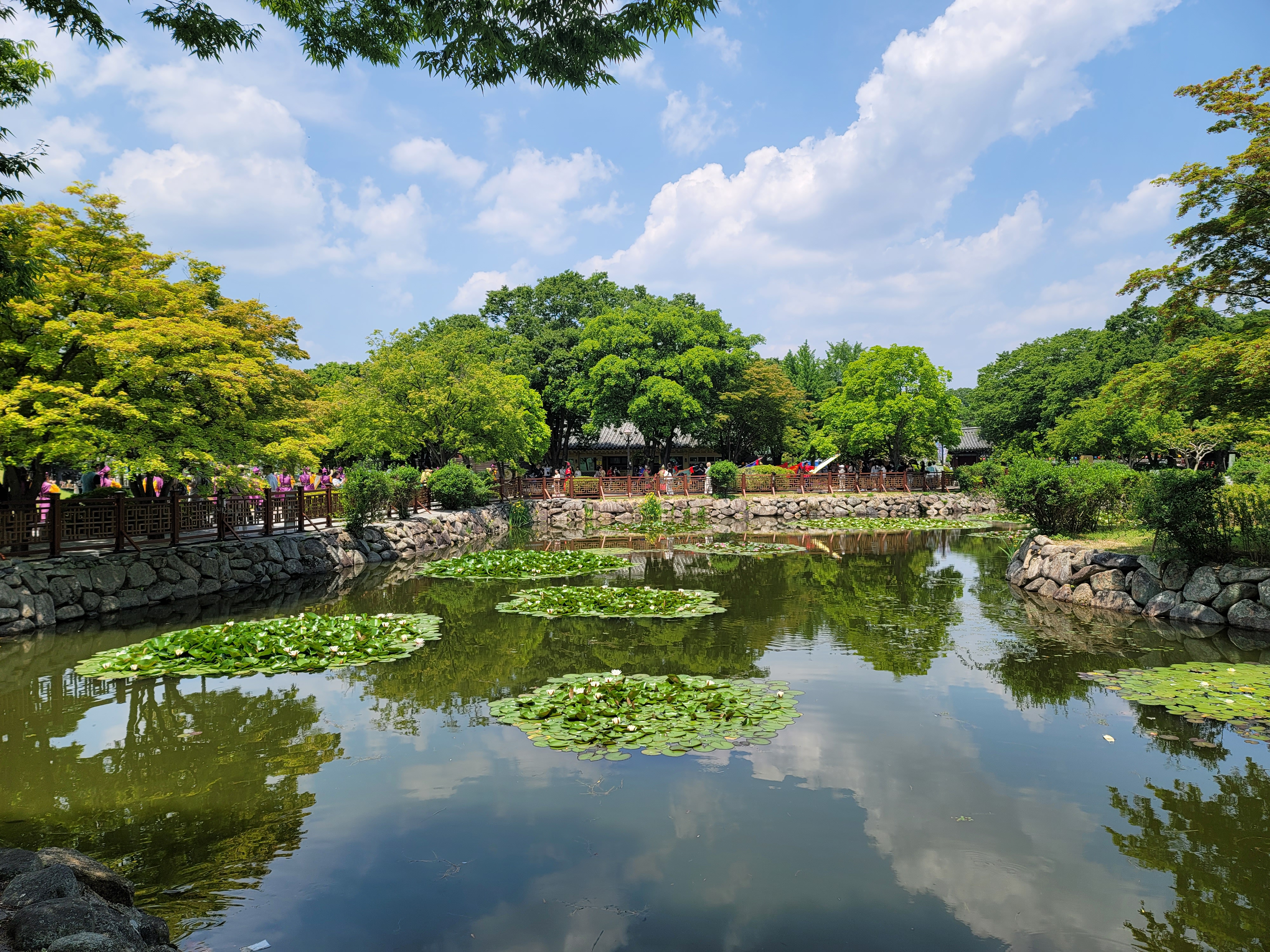 경주 대릉원 안에서 만날 수 있는 연못