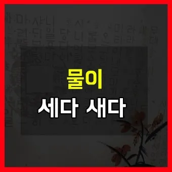 물이 세다 새다 맞춤법 맞는 표현_24