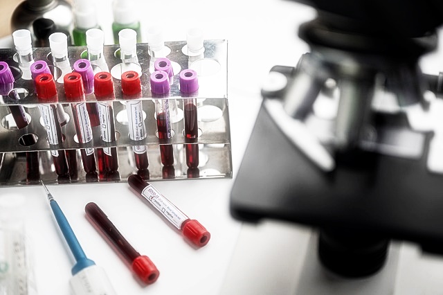 2024년 청년도전지원사업