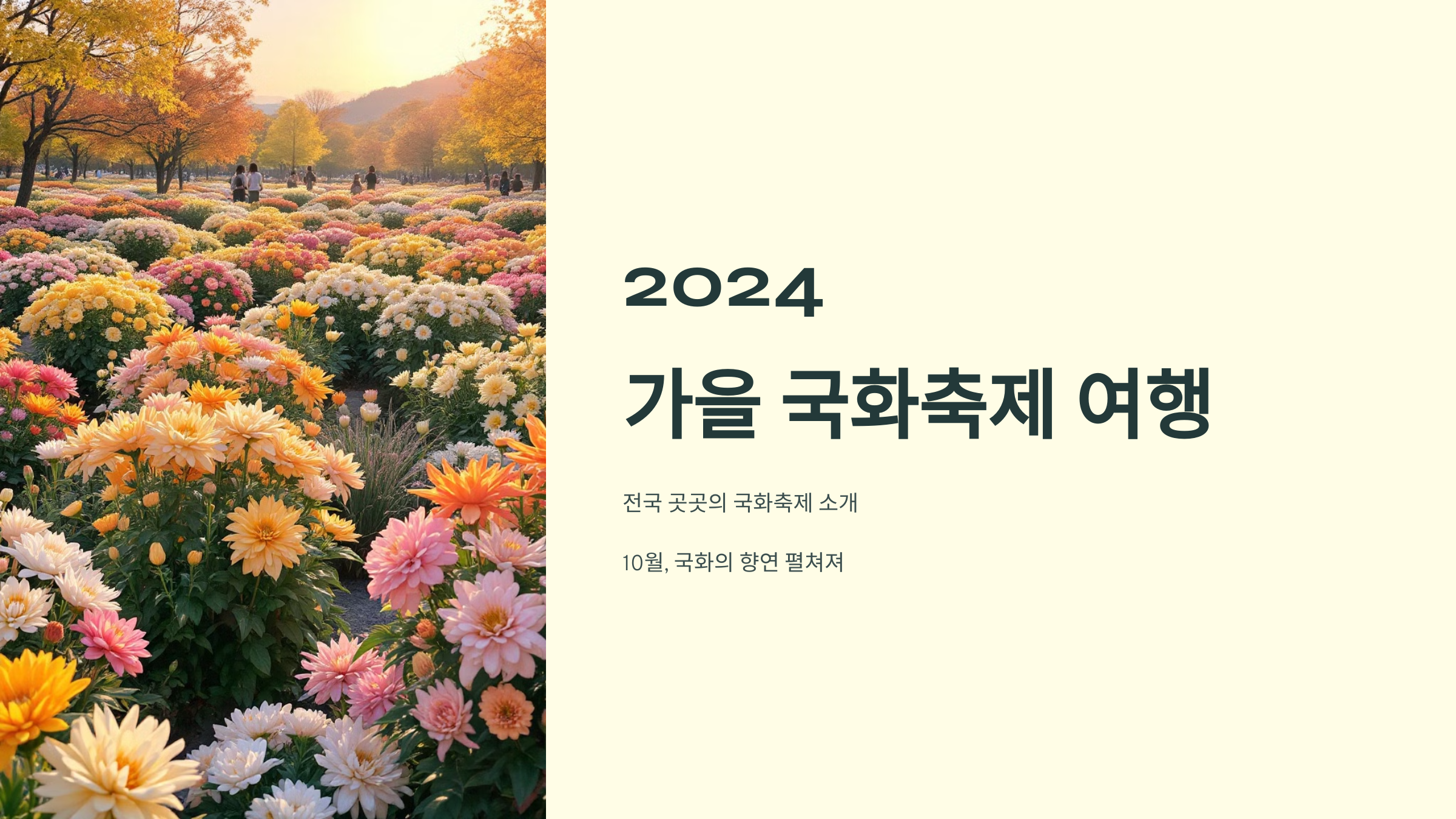 2024 가을, 전국 곳곳의 국화축제를 찾아서