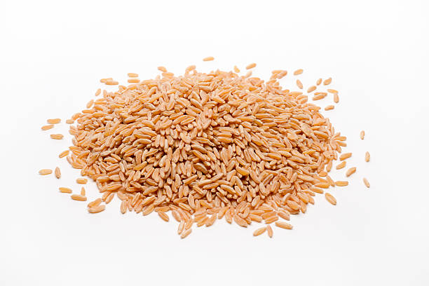 카무트 효소 효능