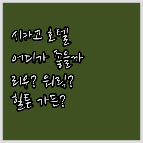 시카고 호텔 추천! 리우 플라자 vs..