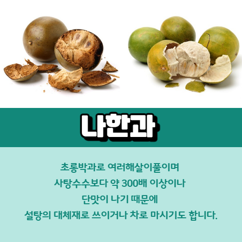 나한과