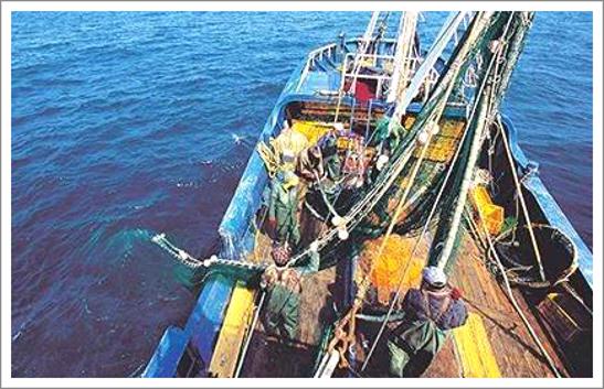 원양어선 연봉