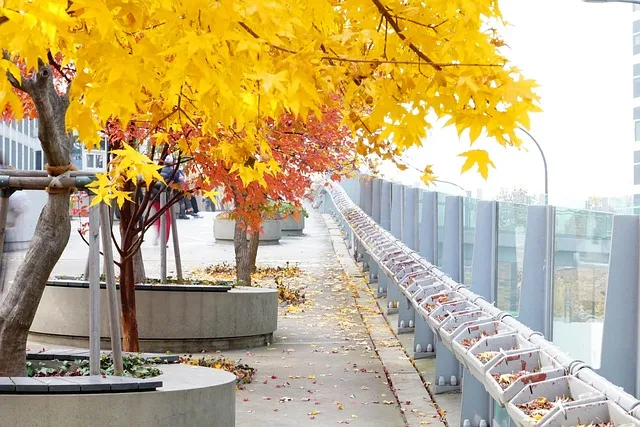 서울역ktx 시간표 예약 타는곳 안내_1