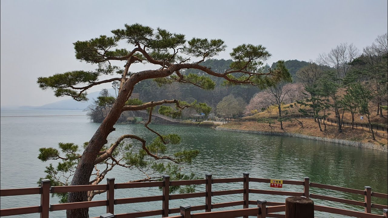 보령 가볼만한곳 - 예당저수지