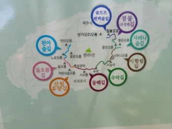 제주 한라산 둘레길 난이도 대중교통 날씨 팁_13