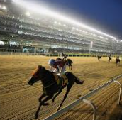 2025년 하반기 한국마사회 채용 일정