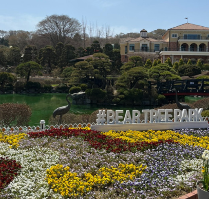 11월 단풍축제 가볼만한곳 BEST 10