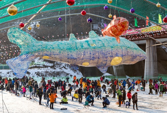 가평 청평 북한강 대성리 송어축제