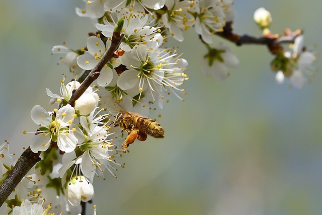 이월드 83타워 전망대