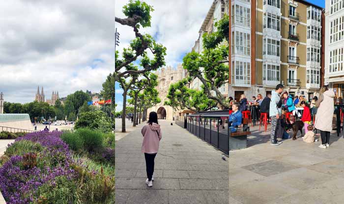 인류진화박물관 앞에서 본 부르고스 대성당, 산타 마리아 아치로 가난 길, 산페르난도 광장에서.