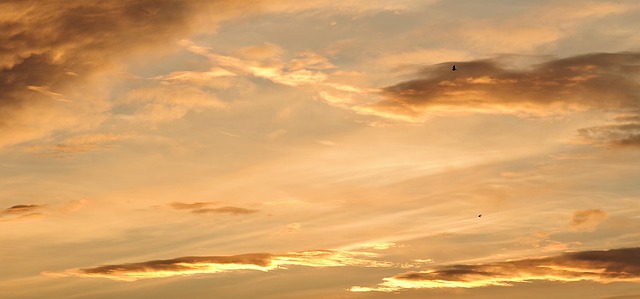 일몰 현상의 하늘 사진