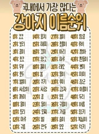 반려견 이름 작명 독특한 강아지 이름 제안_3