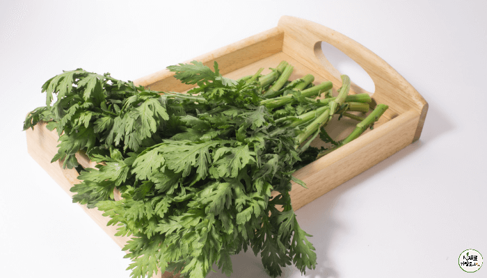 나무로 된 긴사각접시에 쑥갓이 길게 놓여있다