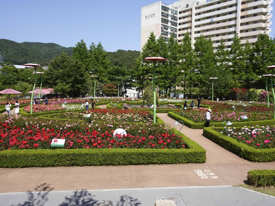 부산 정관 윗골공원