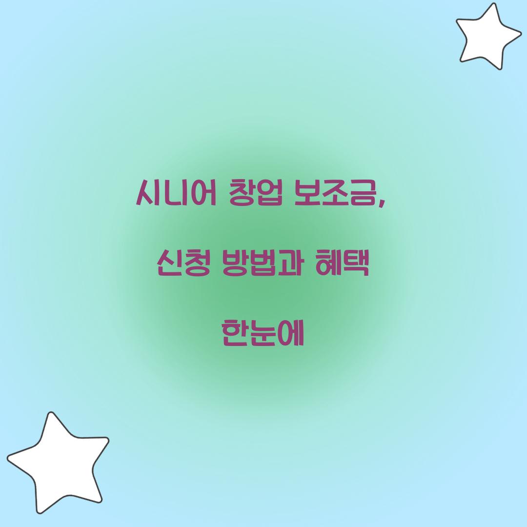 시니어 창업 보조금