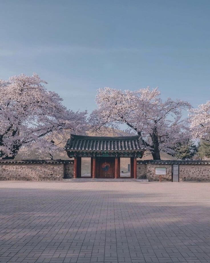 경주 가볼만한곳 베스트 10