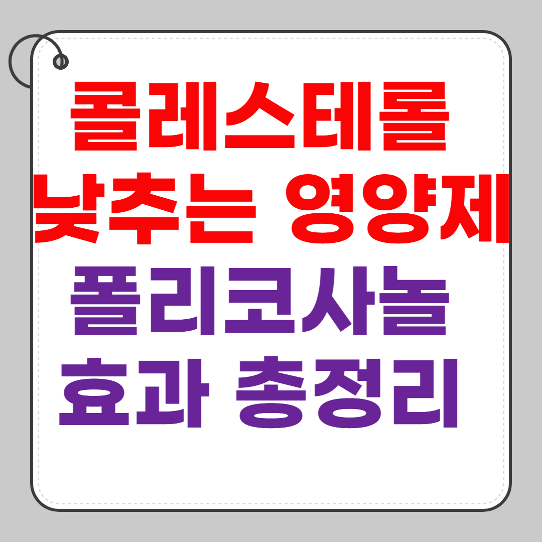 콜레스테롤-낮추는-영양제-폴리코사놀-효과-총정리