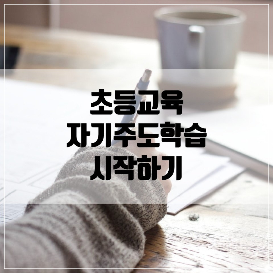 초등 교육, 자기주도학습에 대해 알아보고 계획을 세워본다.