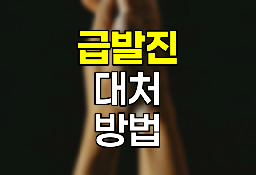 급발진 대처와 페달 블랙박스 활용법