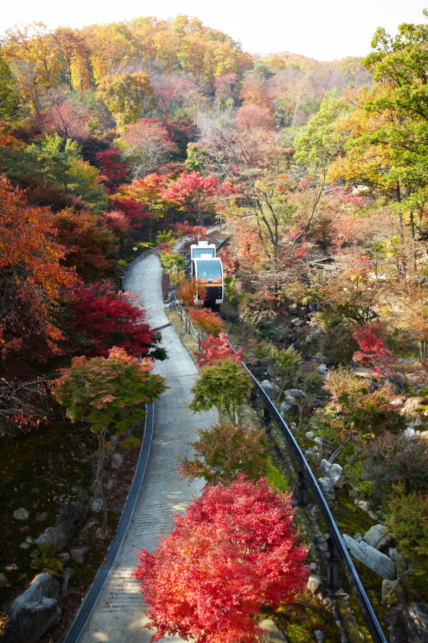 화담숲 예약