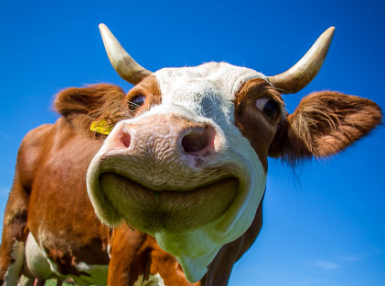 띠별 운세 10월 27일