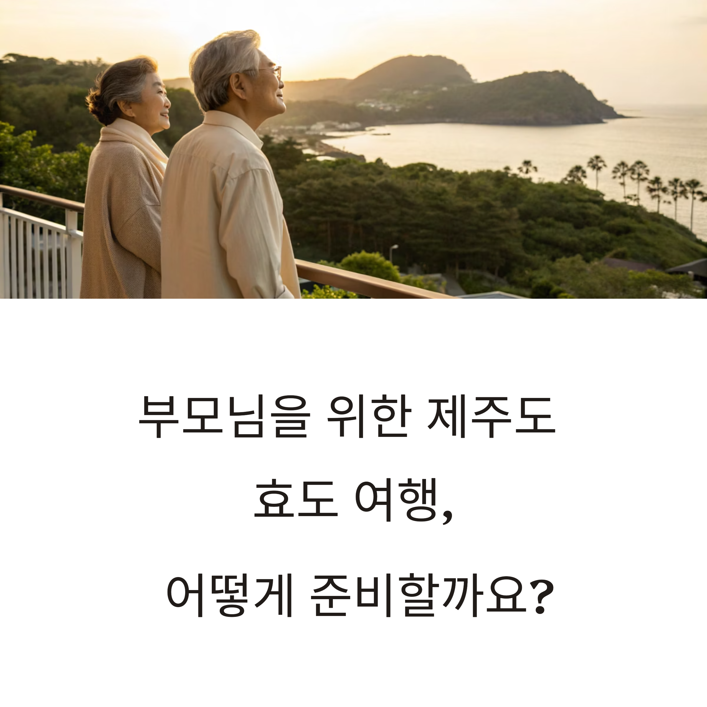 제주도 효도 관광 패키지