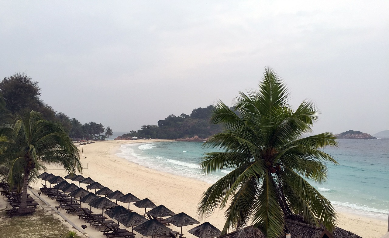 레당 섬, 열대 해변, 해변 이미지