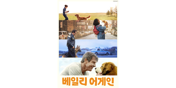 환생을 통해 네 번의 삶을 살게 된 베일리의 모습을 시간의 순서대로 보여주고 있다