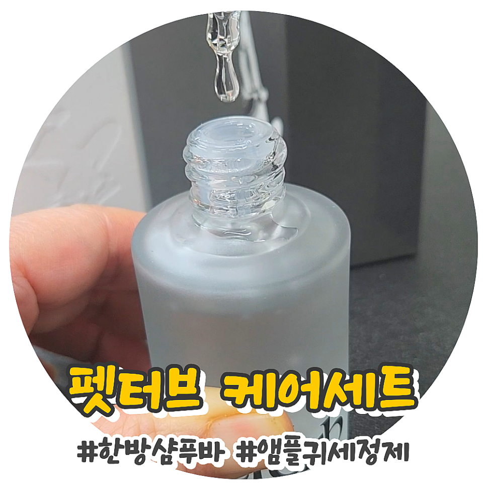 반려견 상쾌한 귀 관리와 털관리 '펫터브 케어 세트'로 완성하는 펫 뷰티 루틴