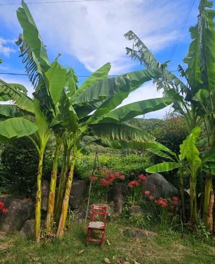 광양 가볼만한곳 베스트 10