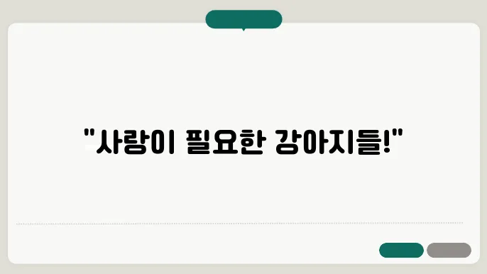후원과 지원의 효과 분석