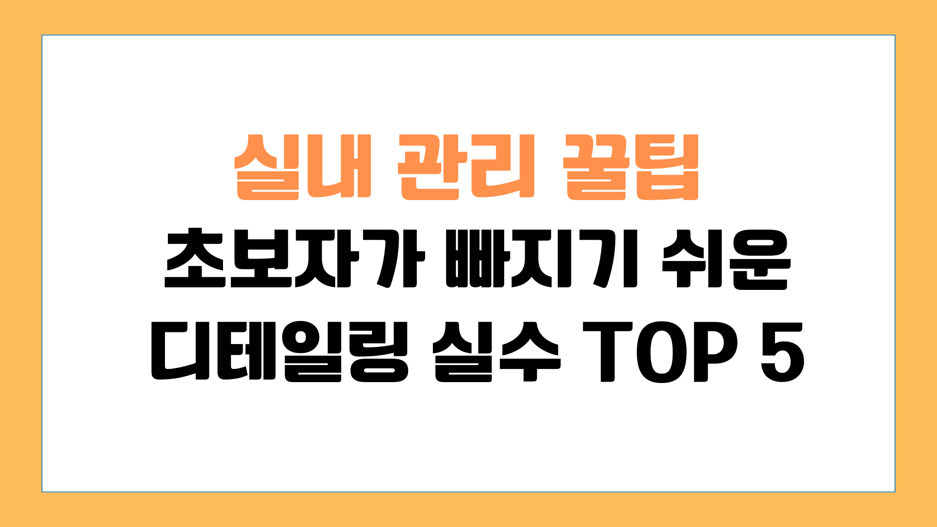 실내 관리 꿀팁