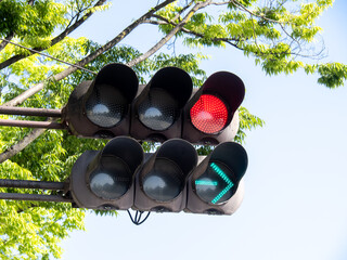 우회전 신호등 신설