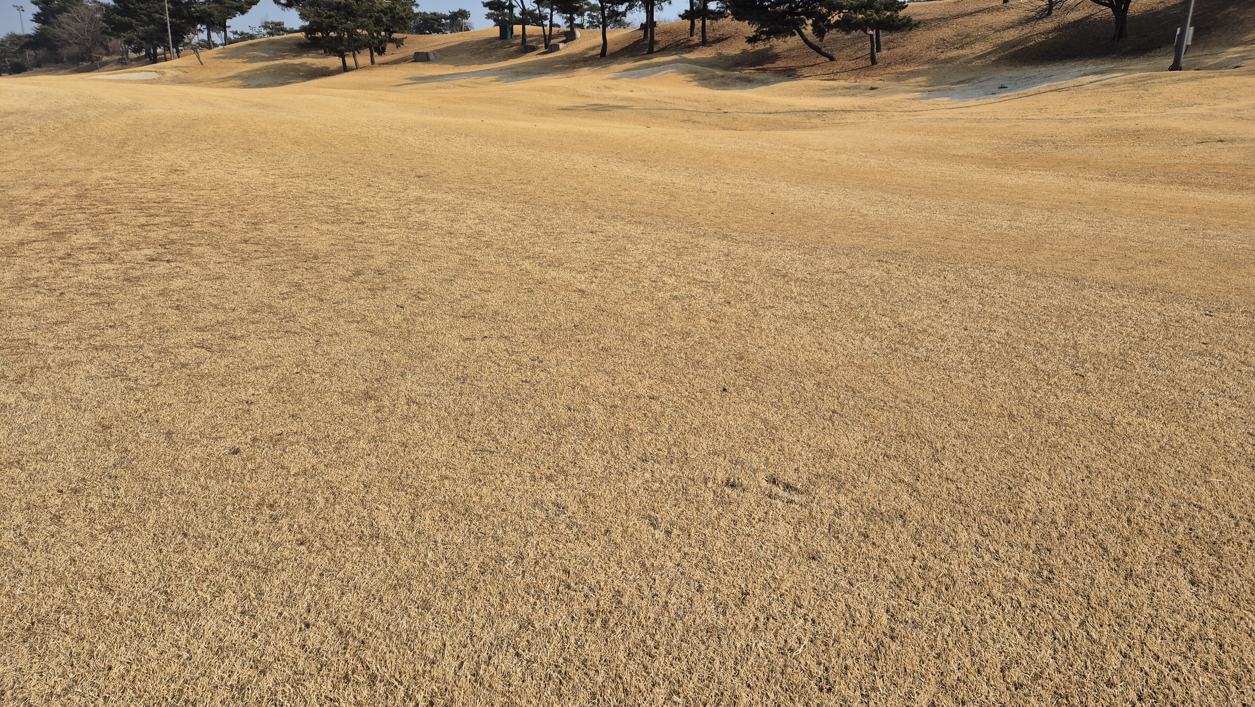 비에이비스타cc 호박-보나(퍼블릭) 코스 난이도