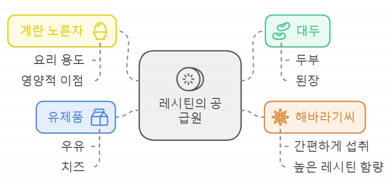 레시틴 함유 음식
