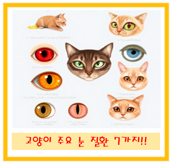 고양이 결막염