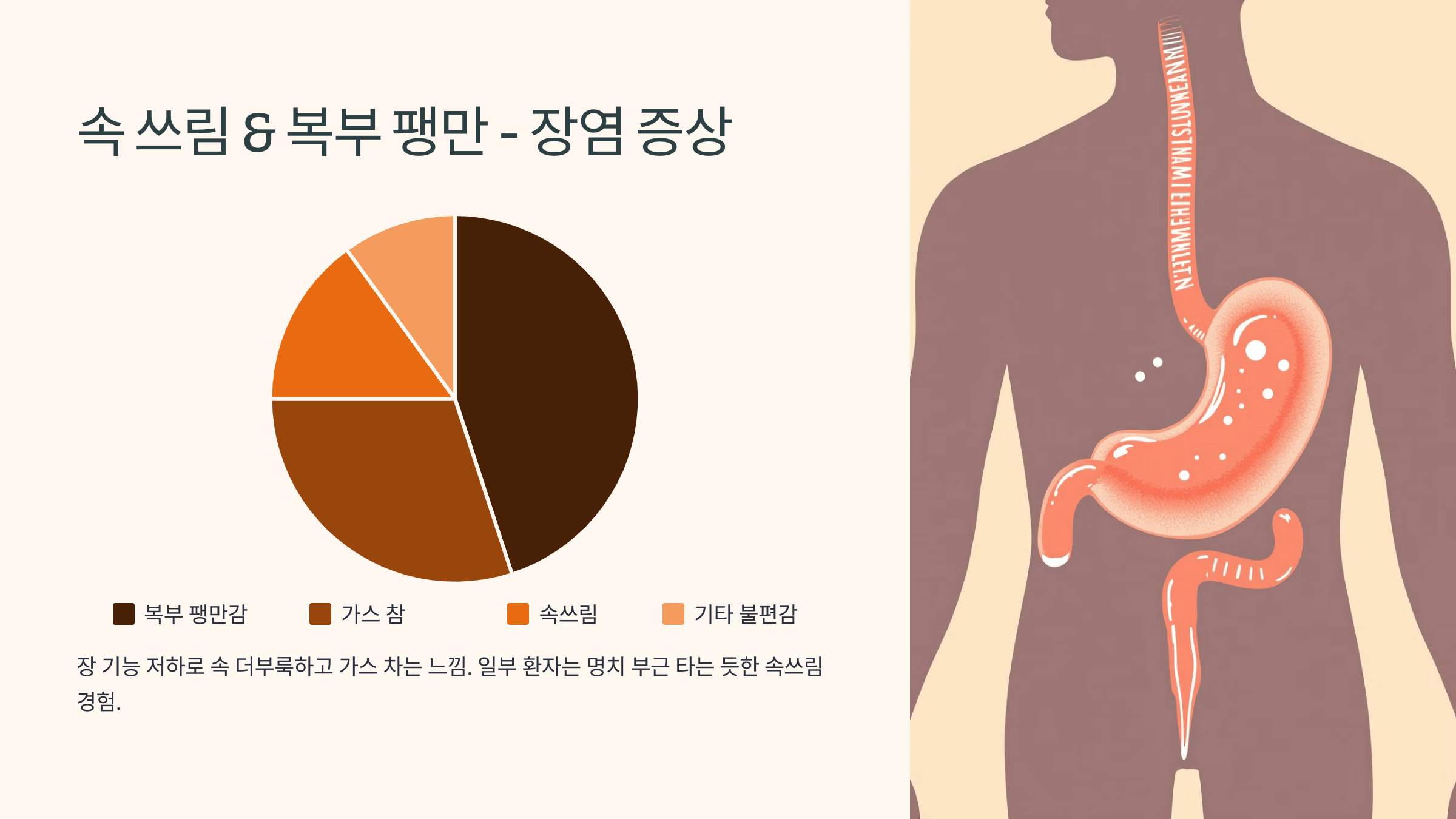 장염과 관련된 사진입니다.