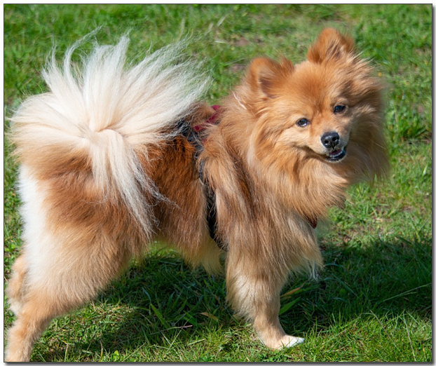 ์๋์์ ํฌ๋ฉ๋ผ๋์