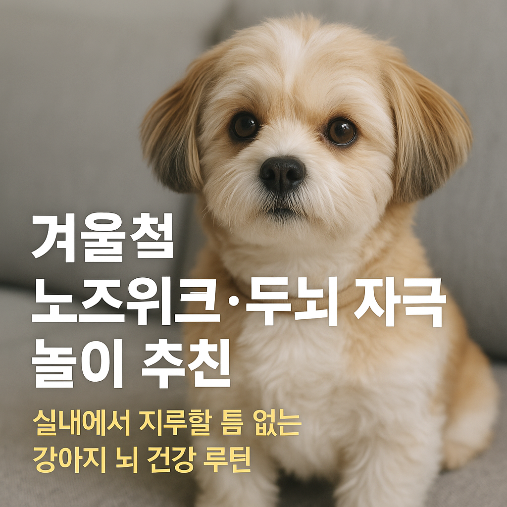 겨울철 노즈워크 두뇌자극 놀이추천