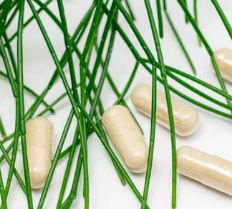 비타민A의 효능 영양제 선택