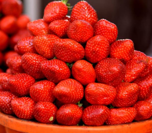 혈액순환에 좋은 음식