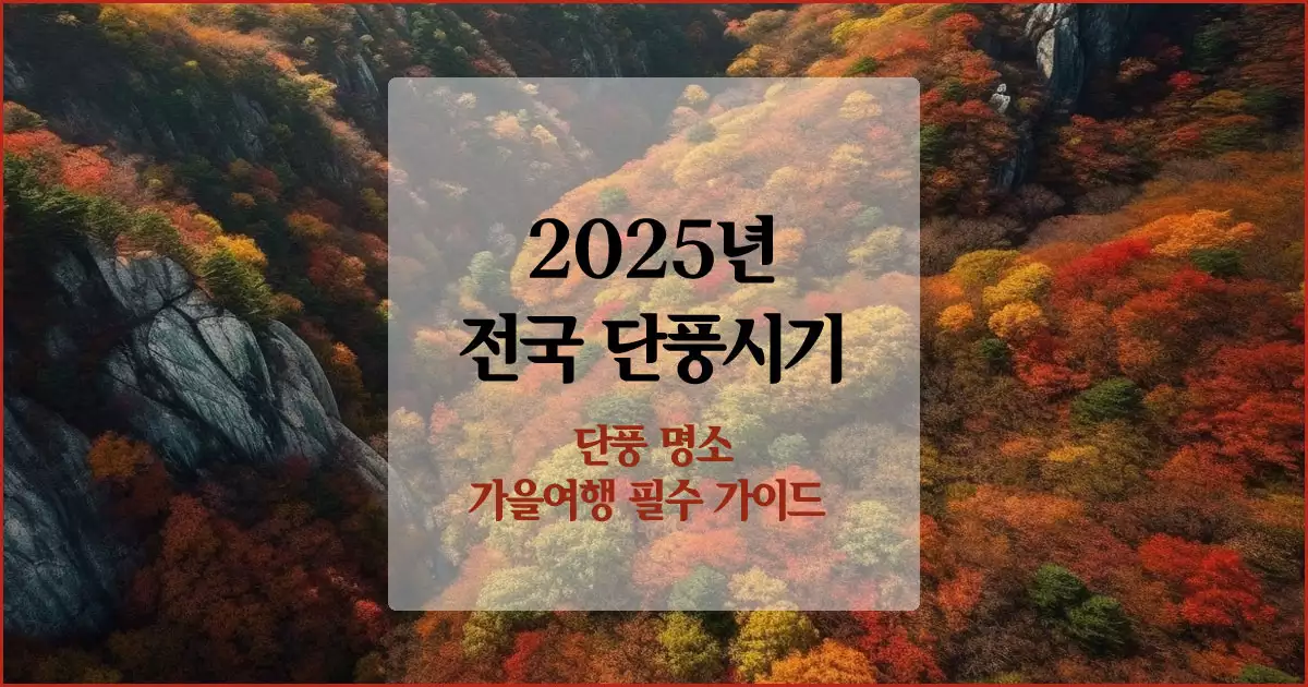 2025년 전국 단풍시기 및 명소/가을 여행 필수 가이드