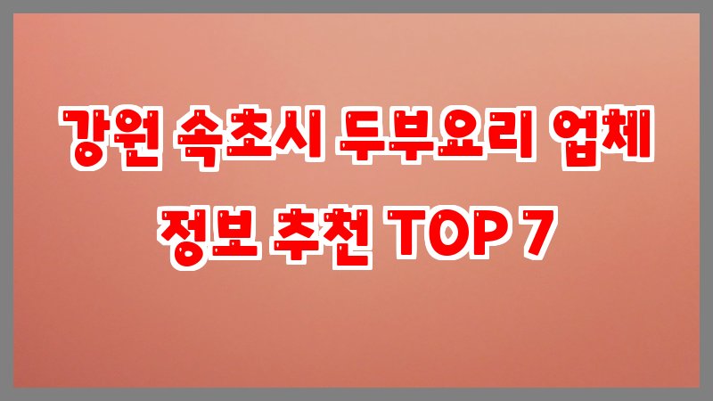 강원 속초시 두부요리