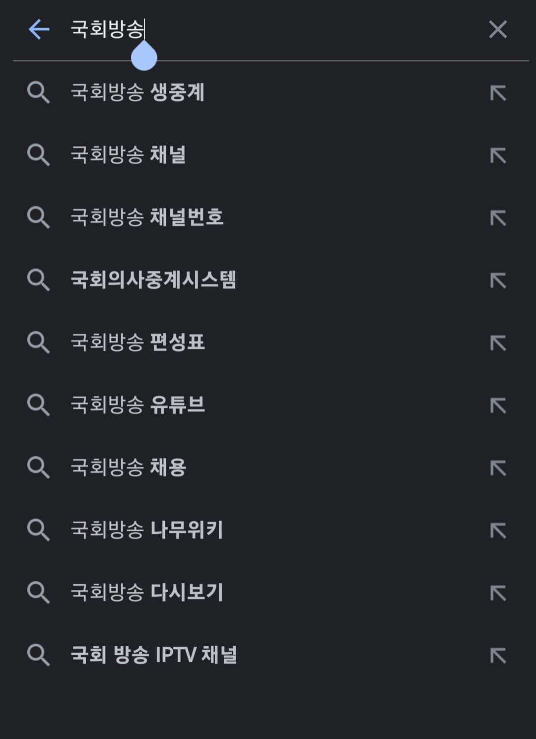 국회방송-편성표-및-채널번호-확인하는-방법-안내-다음&amp;#44;-네이버&amp;#44;-구글-포털-사이트에서-국회방송을-입력한-다음&amp;#44;-검색합니다.