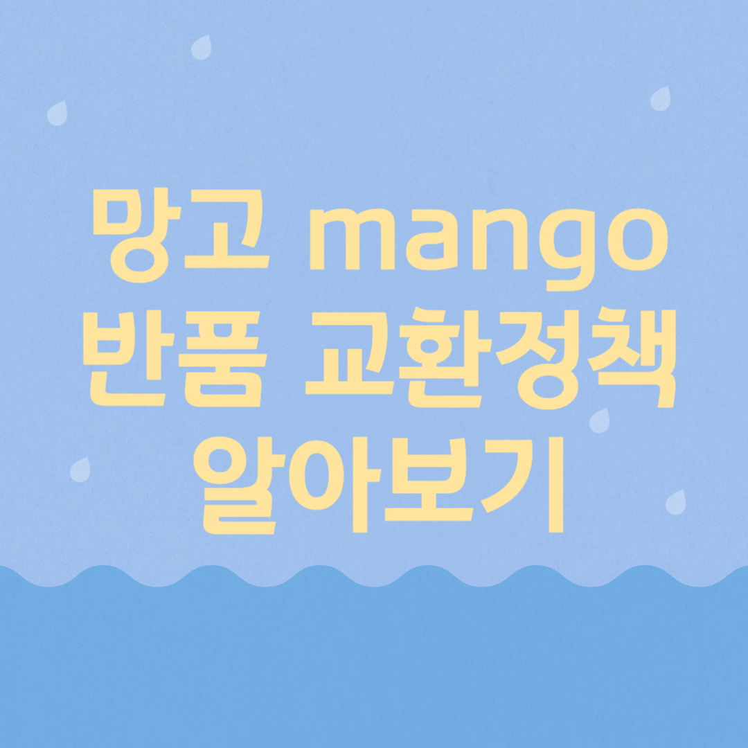 망고 반품 교환 정책 알아보기