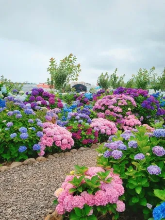 제주도 가볼만한곳 10곳 여행지 모음_18