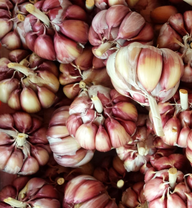 마늘 효능 효과 부작용 당뇨 혈관 건강